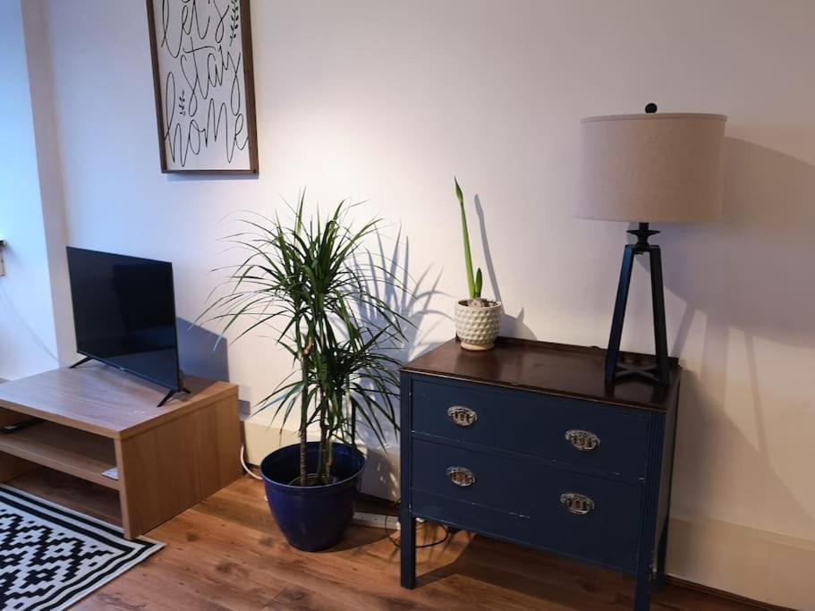 2 Bed Flat, Bounds Green, Piccadilly Line, London N11 Zewnętrze zdjęcie